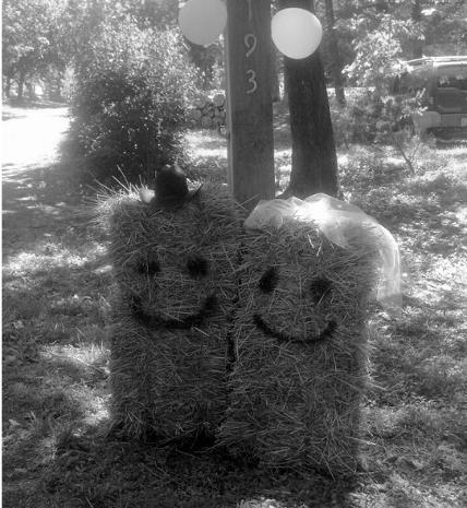 Bride and Groom Hay Bales