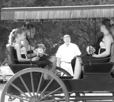 Bridal Party in Horse Drawn Carriage